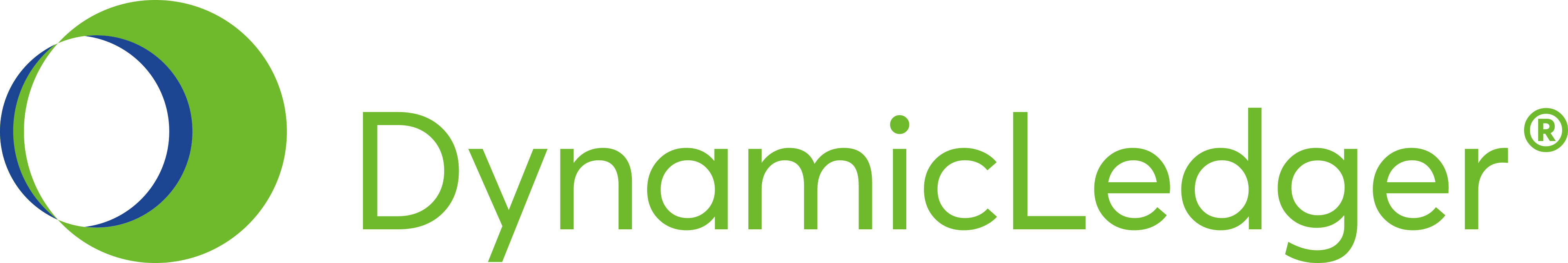DynamicLedger Solutions